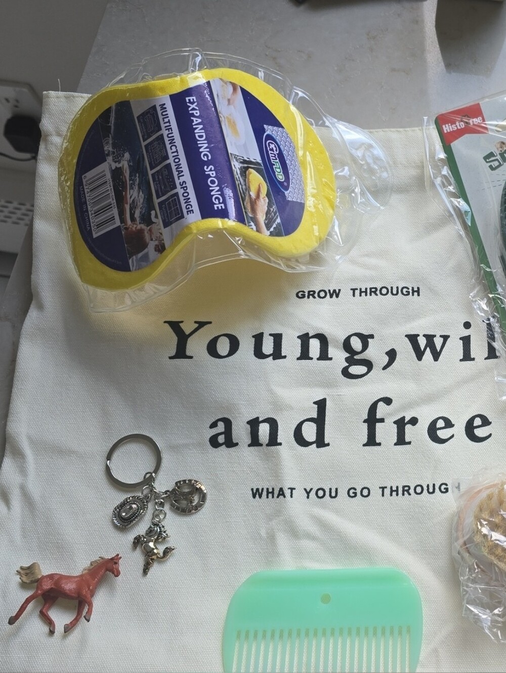 Canvas Tote Bag with 'Young, Wild and Free' W/ Goodies!